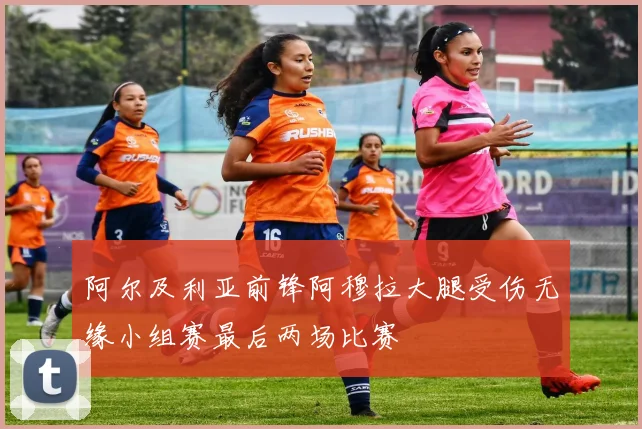 阿尔及利亚前锋阿穆拉大腿受伤无缘小组赛最后两场比赛